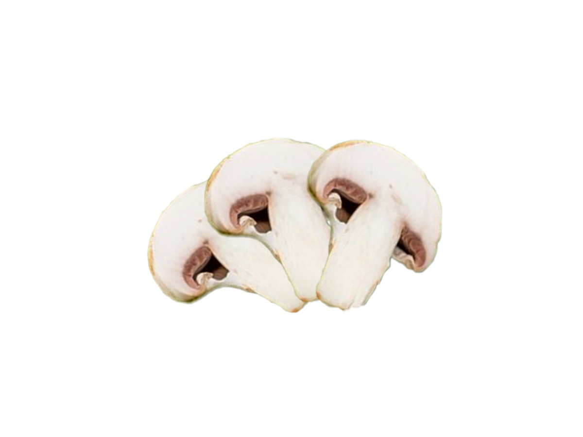 Fresh Mushroom