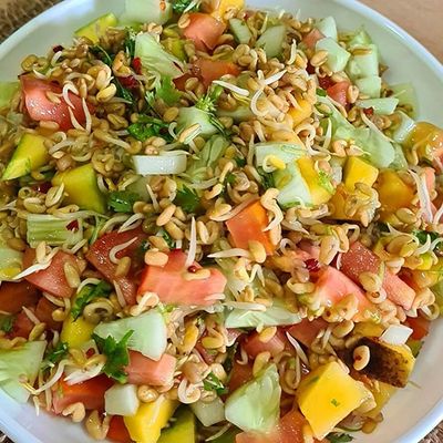 Fenugreek