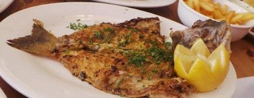 Hamour Fish Slices