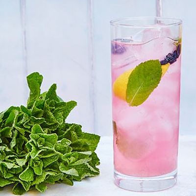 Flavor Mojito