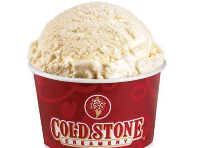 French Vanilla Ice Cream