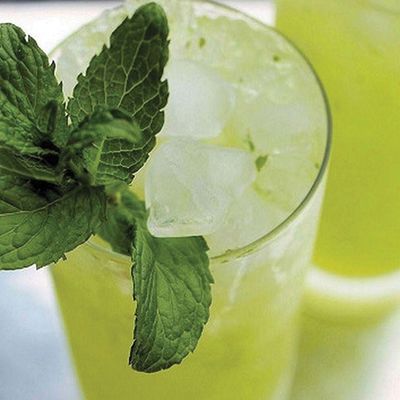 Family Packs Lemon with Mint