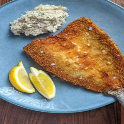 Grey Mullet