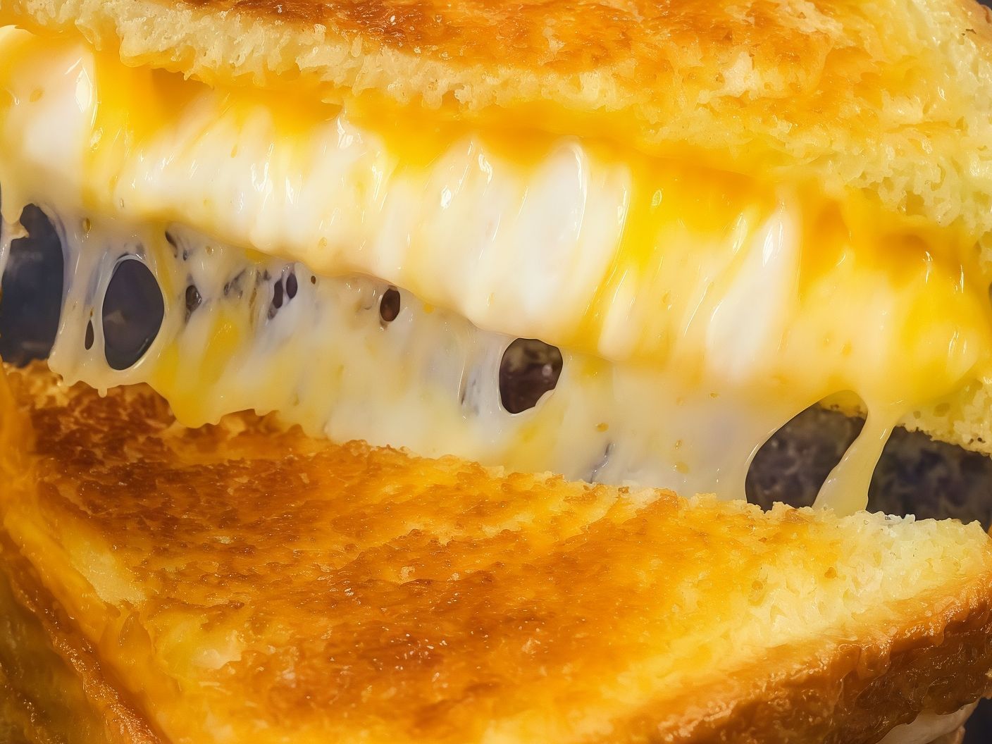 Fried cheddar cheese sandwich