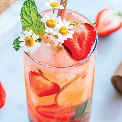 Fruits Mojito (Berry - Strawberry - Passion Fruit )