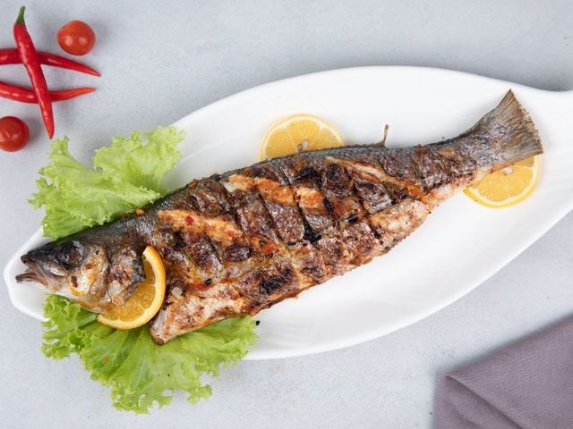 Sea Bream