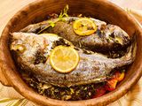 Gilthead Bream Fish oil and lemon meal