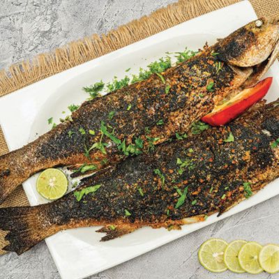 Grey Mullet Fish meal