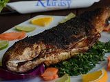 Grey Mullet Fish