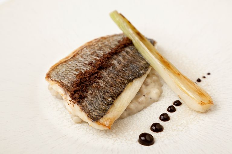 Grey Mullet Fish Meal