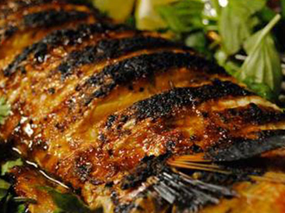Grey Mullet Fish Meal