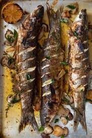 Grey Mullet Fish Meal
