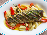 Grey Mullet Fish