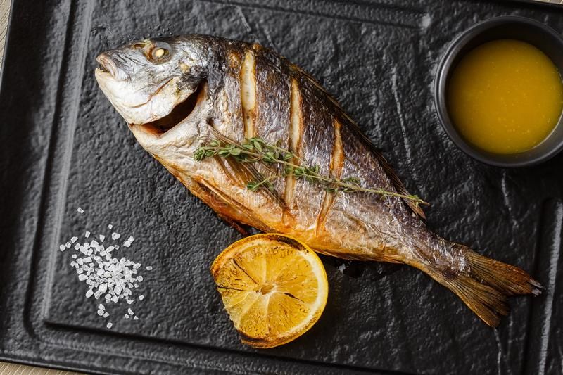 Gilthead Bream Fish
