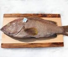 Grouper Fillet Fish