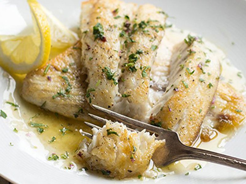 Grouper Fish