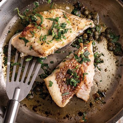 Grouper Fillet