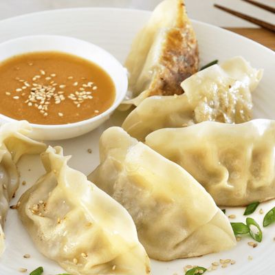 Small chicken gyoza dumpling tray