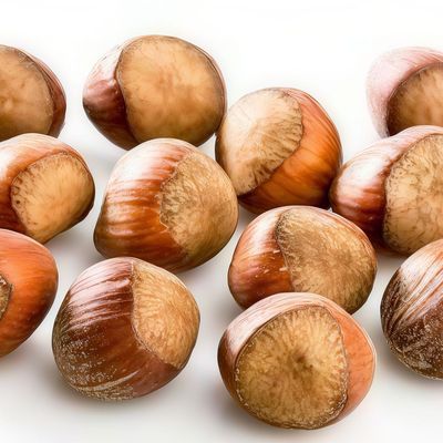 Hazelnut Vanilla