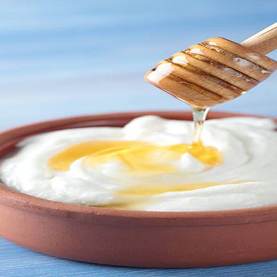 Honey Yogurt