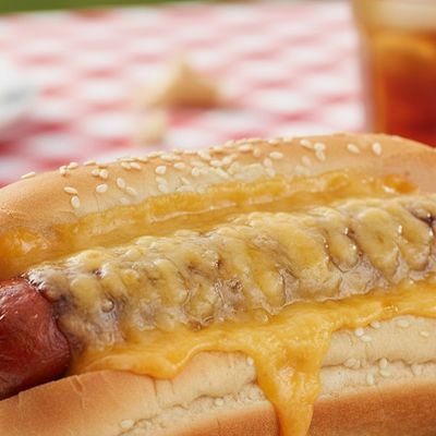 Hot Dog with Roumi Cheese