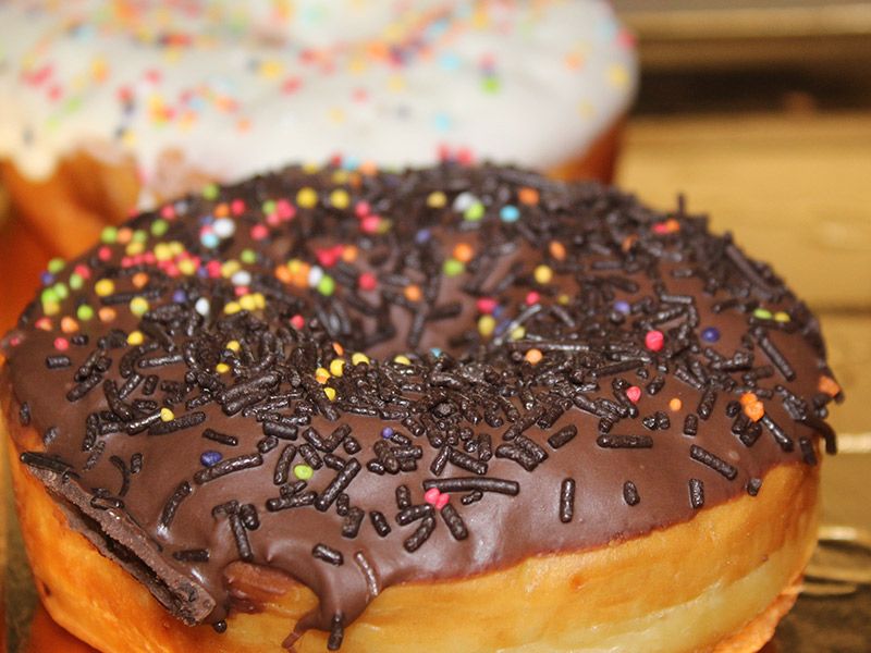 Chocolate Doughnut