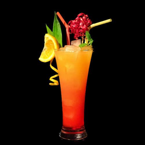 Jamaica Cocktail juice