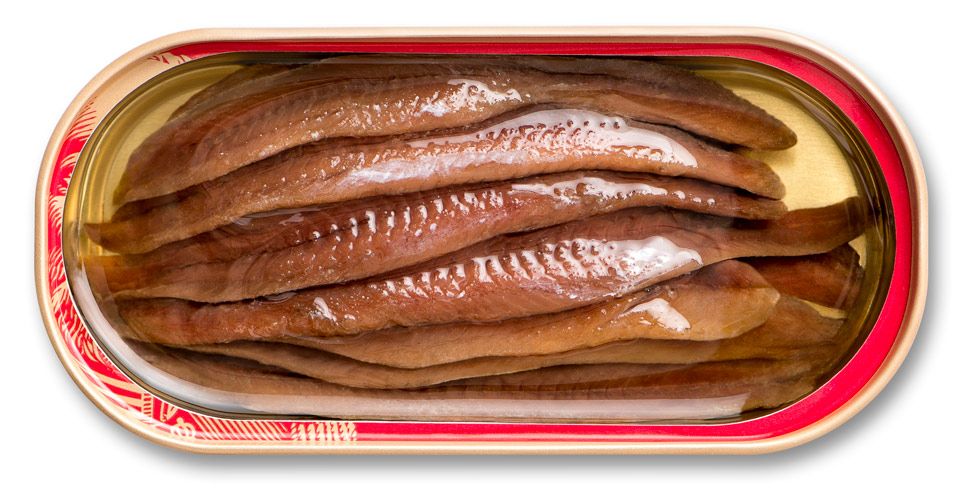 Anchovy