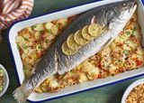 Sea Bass Fish