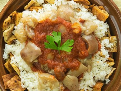 Plain Knuckles Fatteh