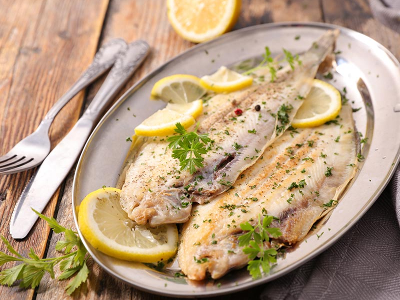 Croaker Fish
