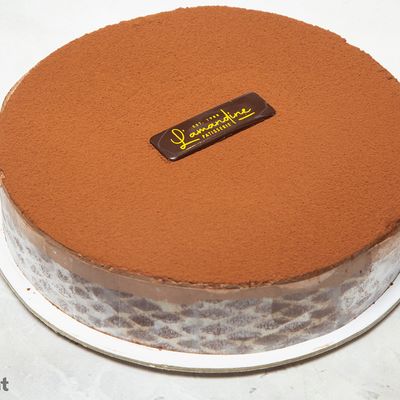 Chocolate Mousse Gateaux