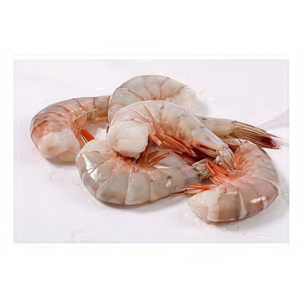 Large Shrimp