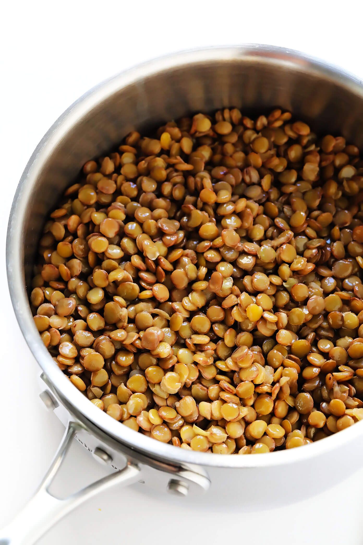 Lentil