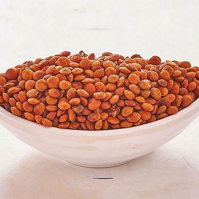 Lentil