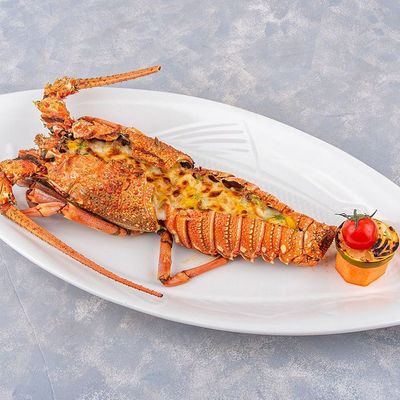 Lobster