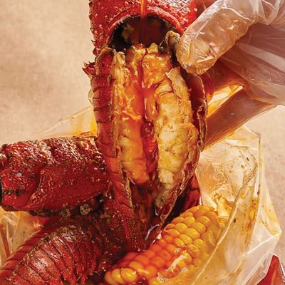 Shrimp Anatomy photo 2