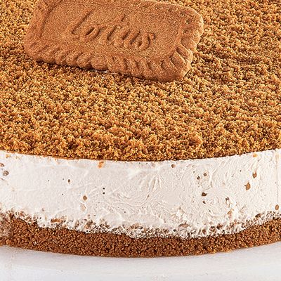 Lotus ice cream torte