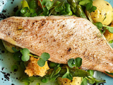 Lout Fillet