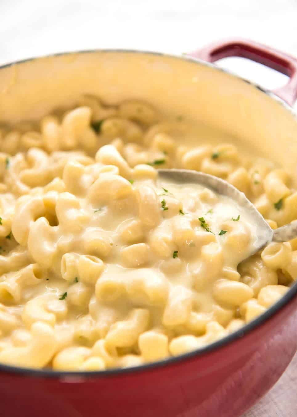 Mac And Cheese Pasta