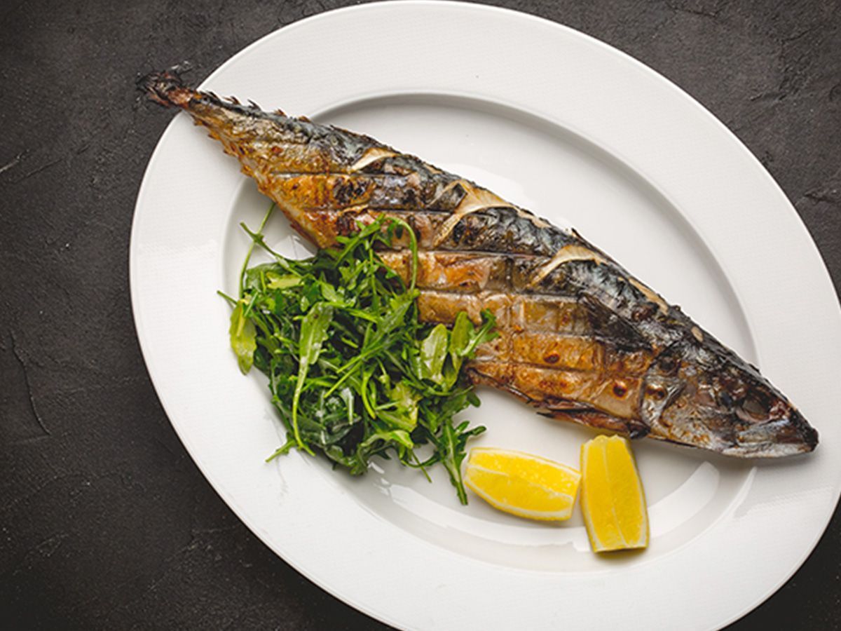 Mackerel