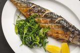 Mackerel Fish