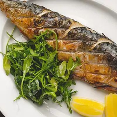 Mackerel Fish