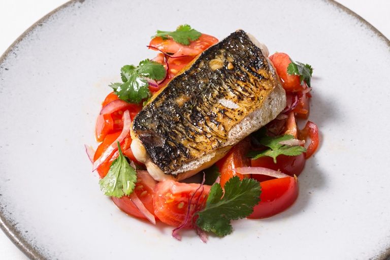 Mackerel Fish