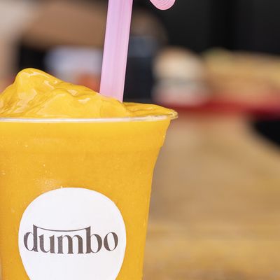 dumbo photo 12