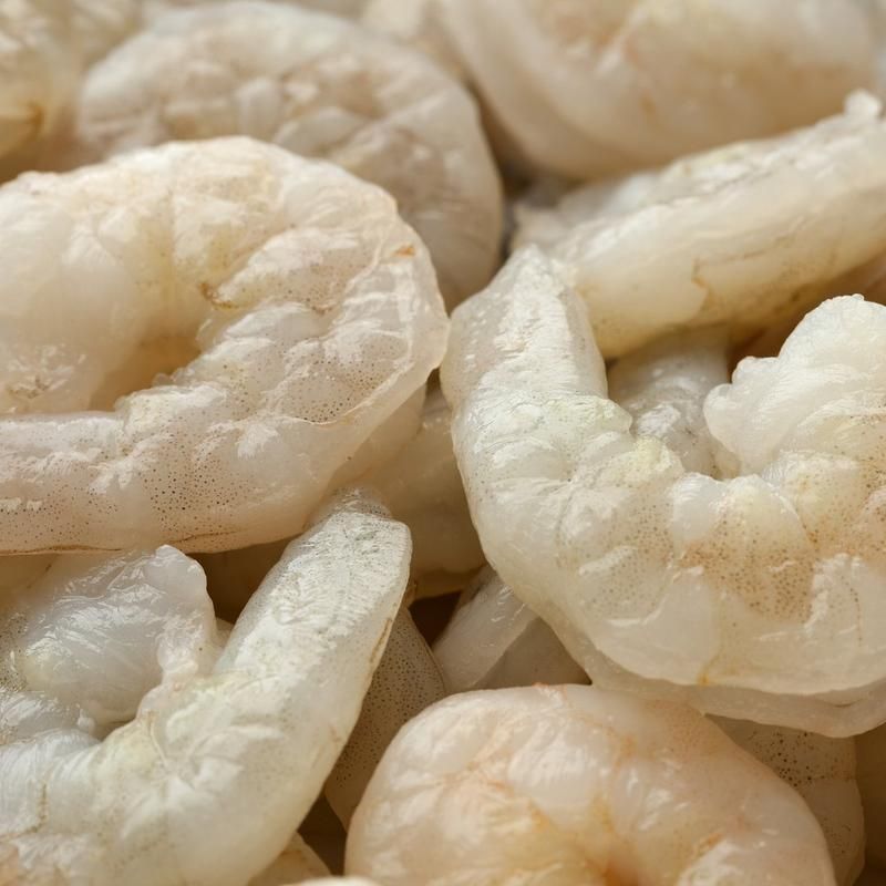 Shrimp Medium