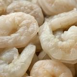 Shrimp Medium
