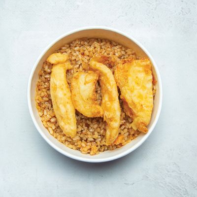 Medium Squid Meal