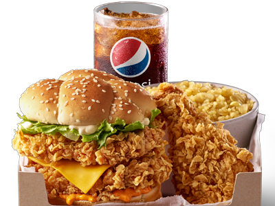 Zinger 6 Pieces Meal