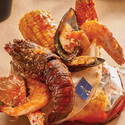 Shrimp Anatomy photo 12